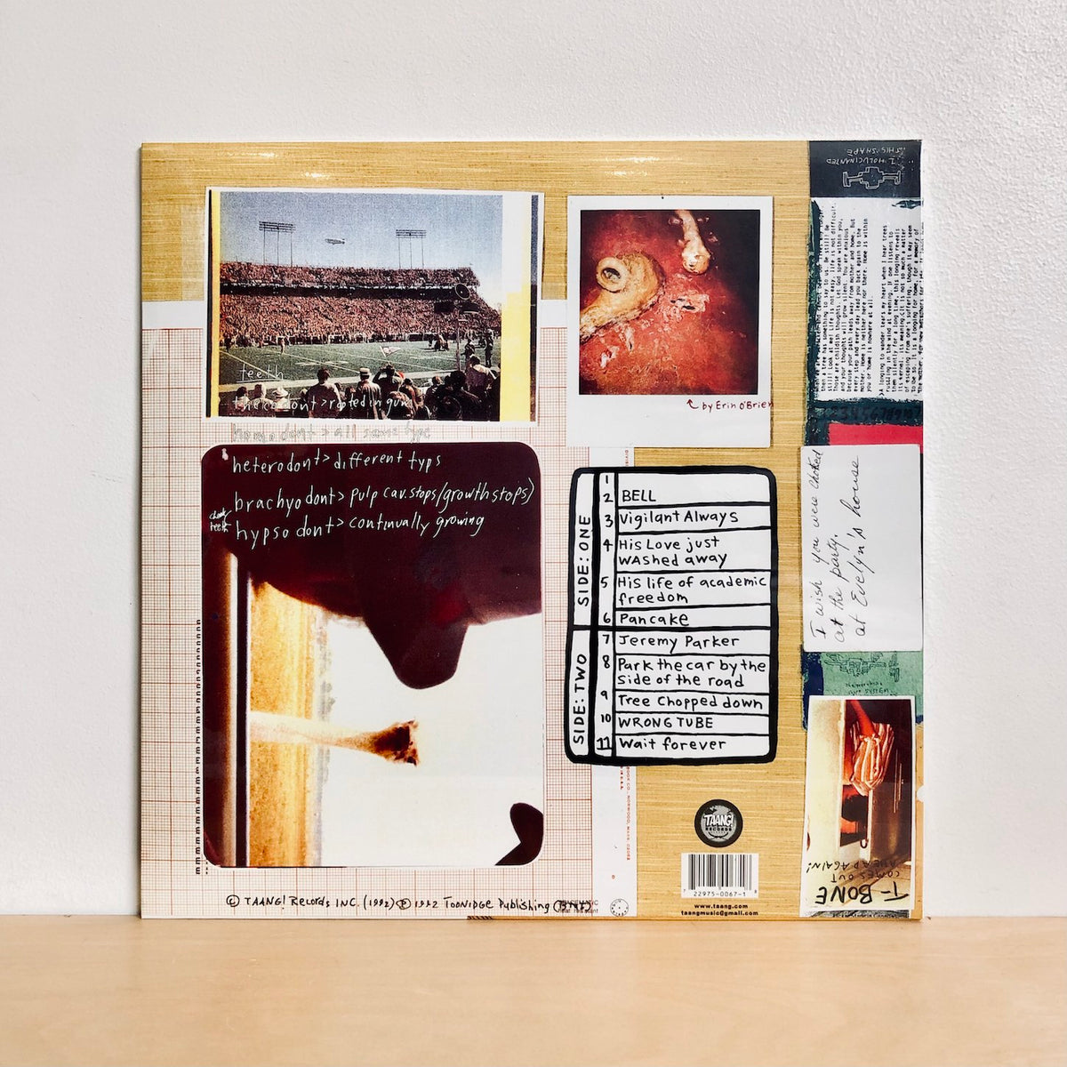 The Swirlies - Blonder Tongue Audio Baton. LP [USA IMPORT] – Abicus