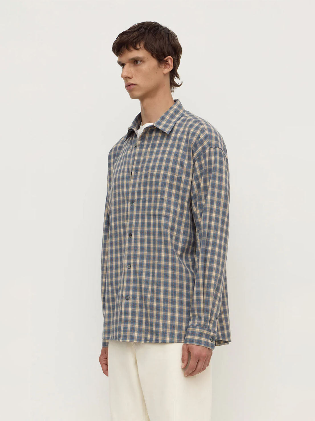 Assembly Label - Taj Check Long Sleeve Shirt - Breeze / White Check