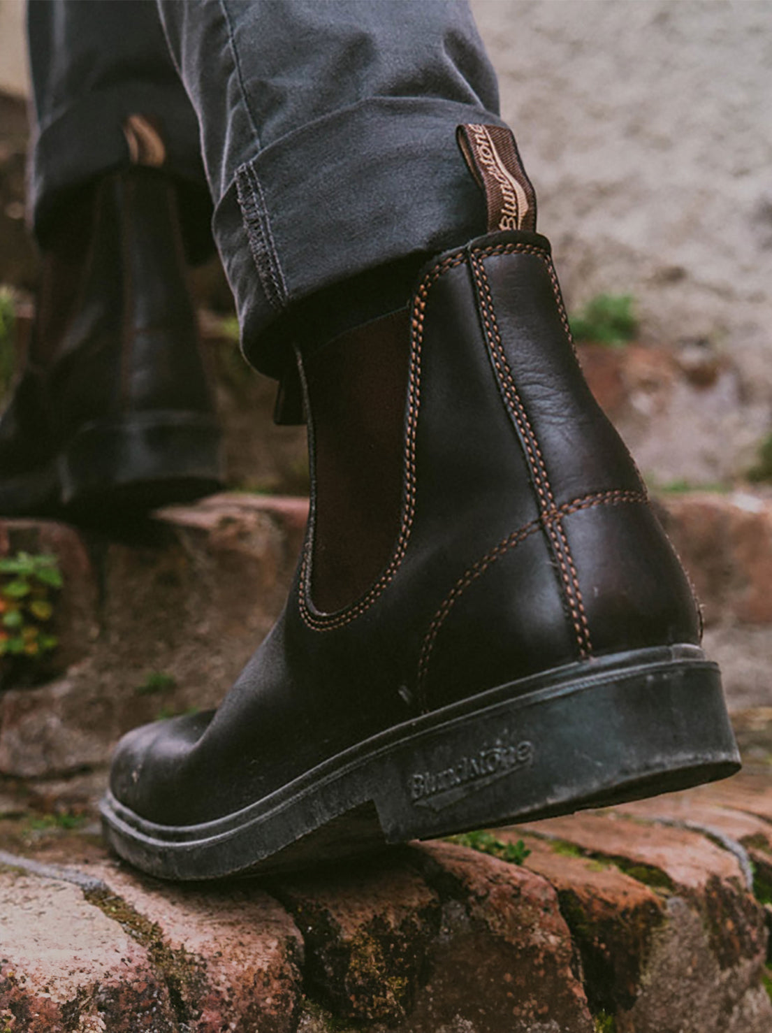 Blundstone - 062 Unisex Chelsea Dress Boot - Stout Brown