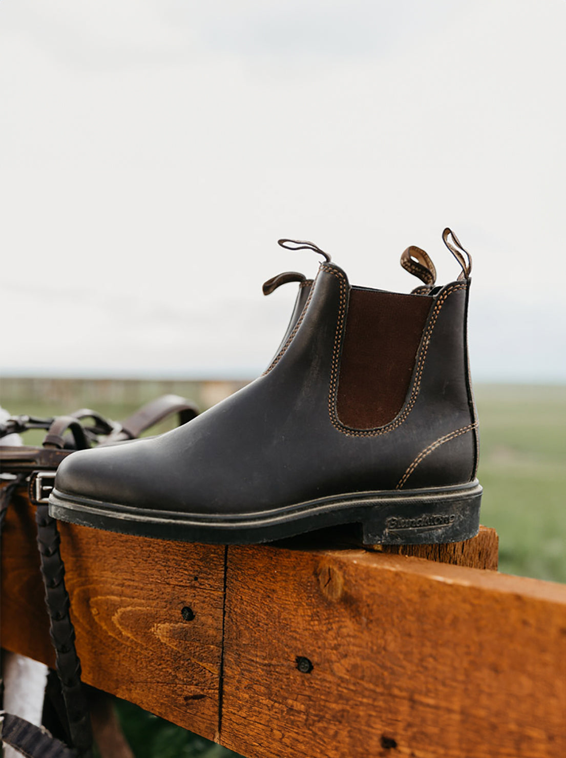 Blundstone - 062 Unisex Chelsea Dress Boot - Stout Brown