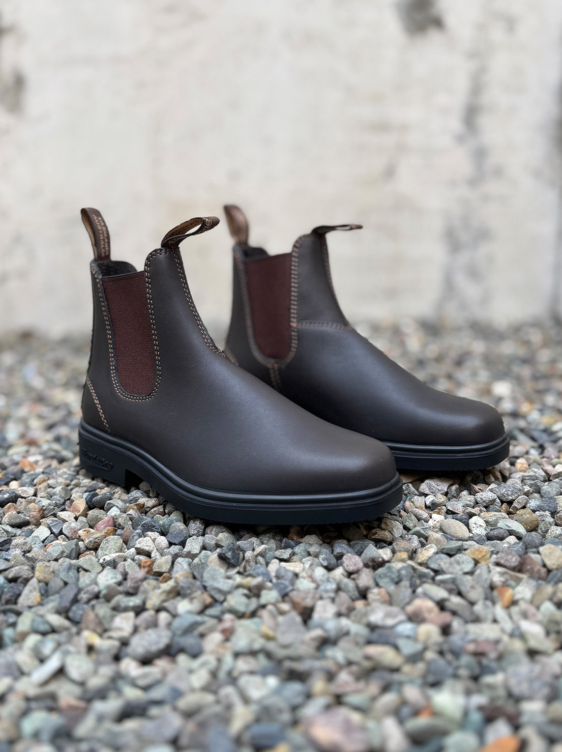 Blundstone - 062 Unisex Chelsea Dress Boot - Stout Brown