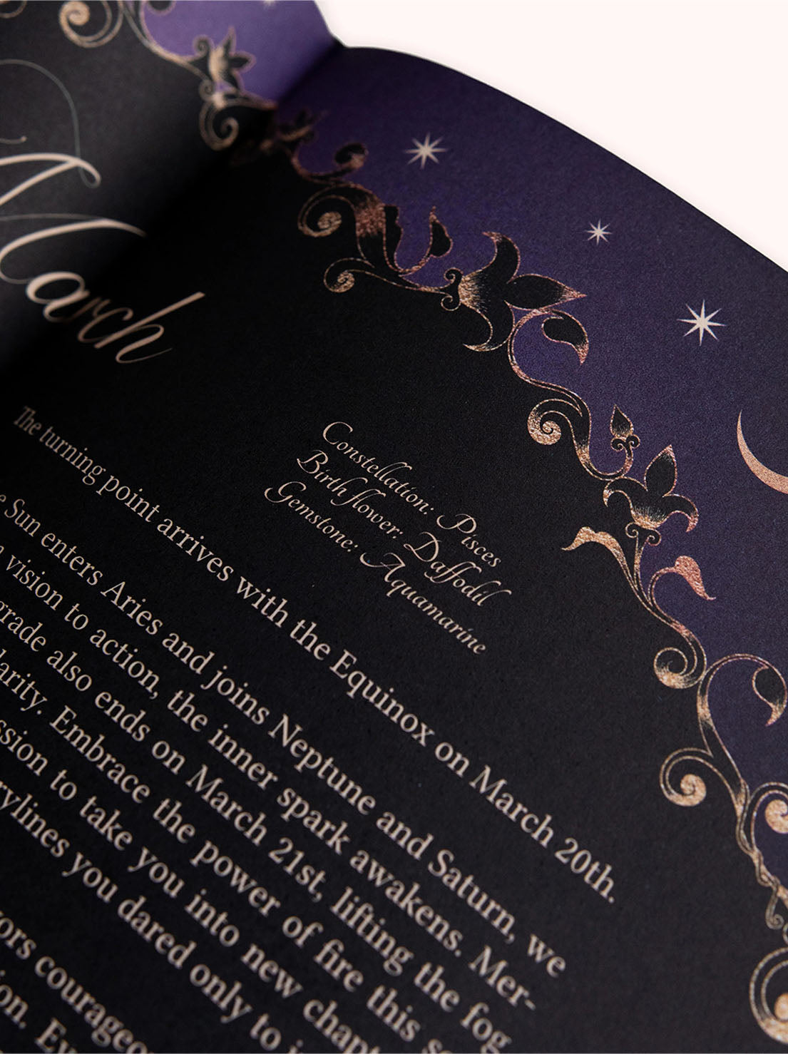 Dreamy Moons - 2026 Year of Growth Diary - Onyx Black