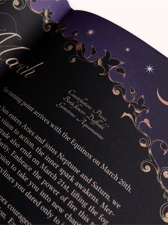 Dreamy Moons - 2026 Year of Growth Diary - Onyx Black