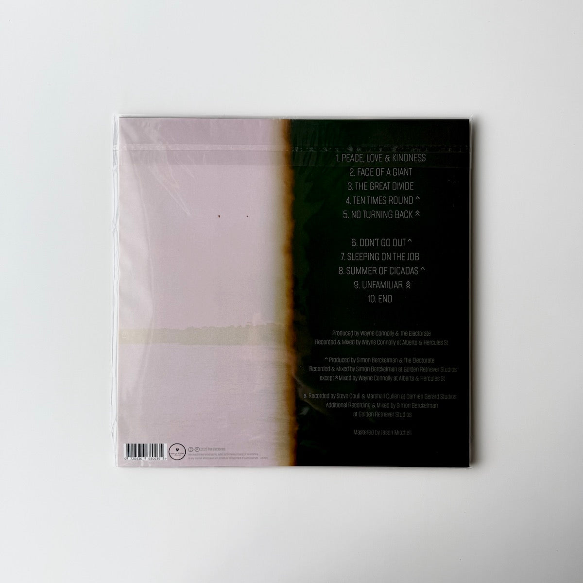 The Electorate - By Design. LP