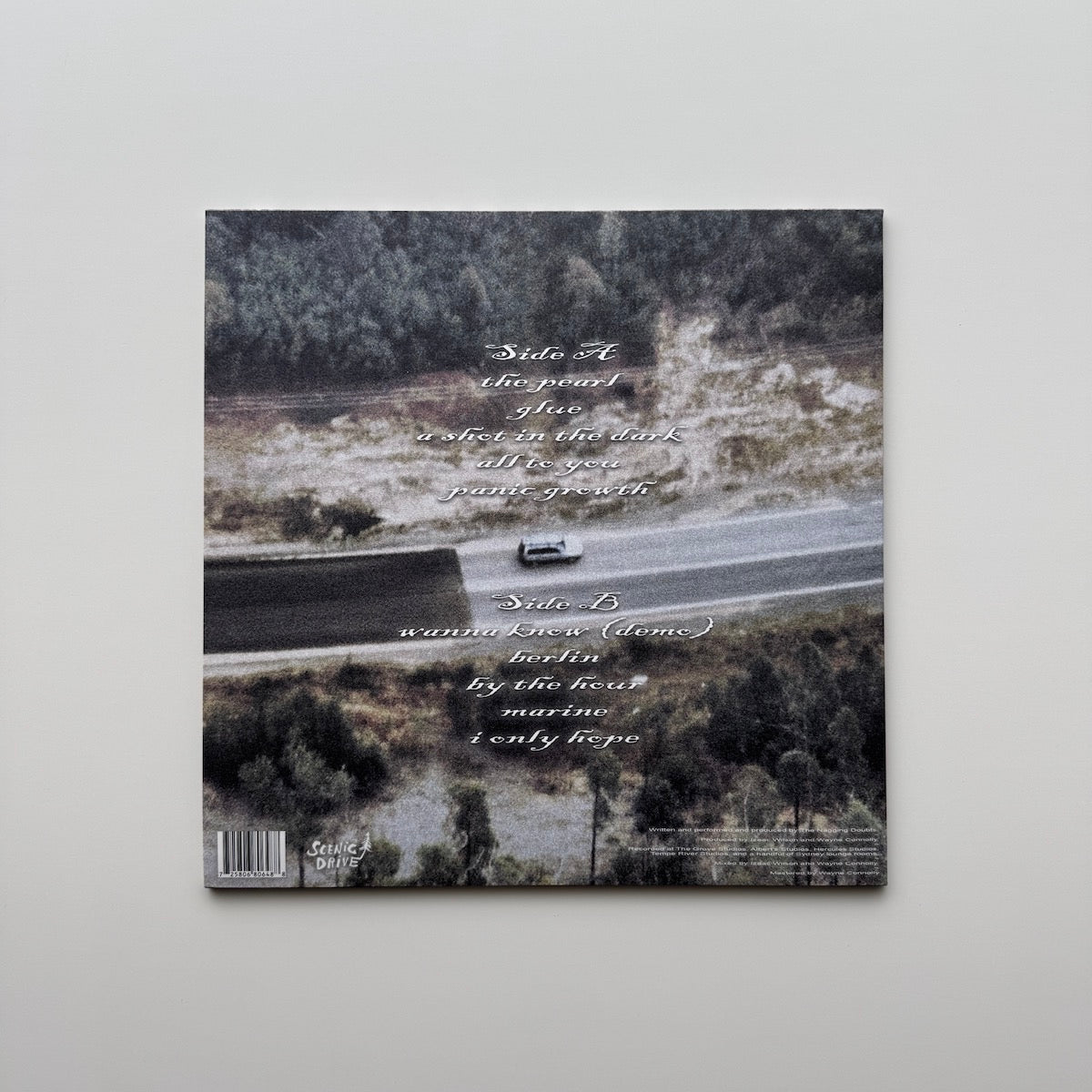 The Nagging Doubts - Panic Growth. LP