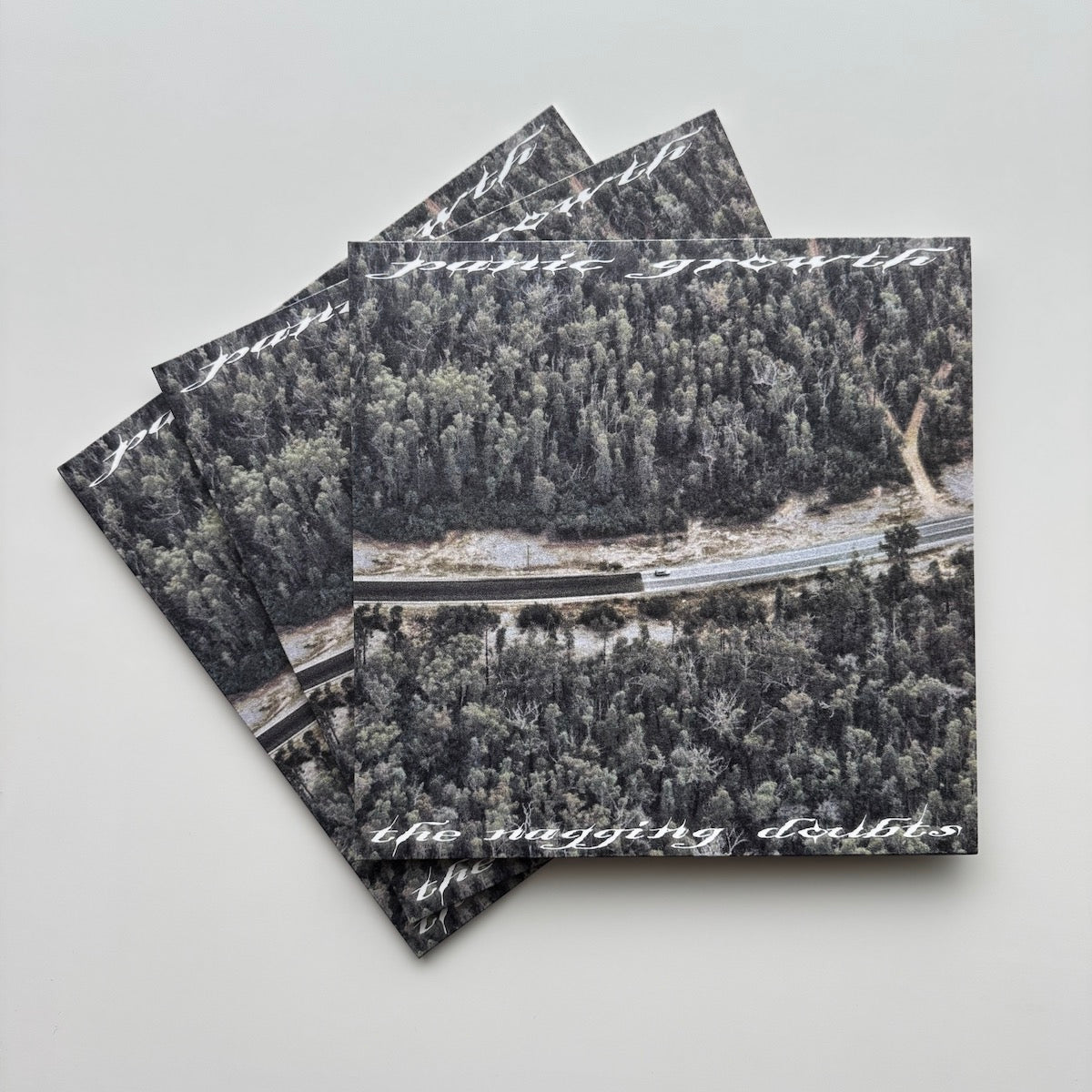 The Nagging Doubts - Panic Growth. LP