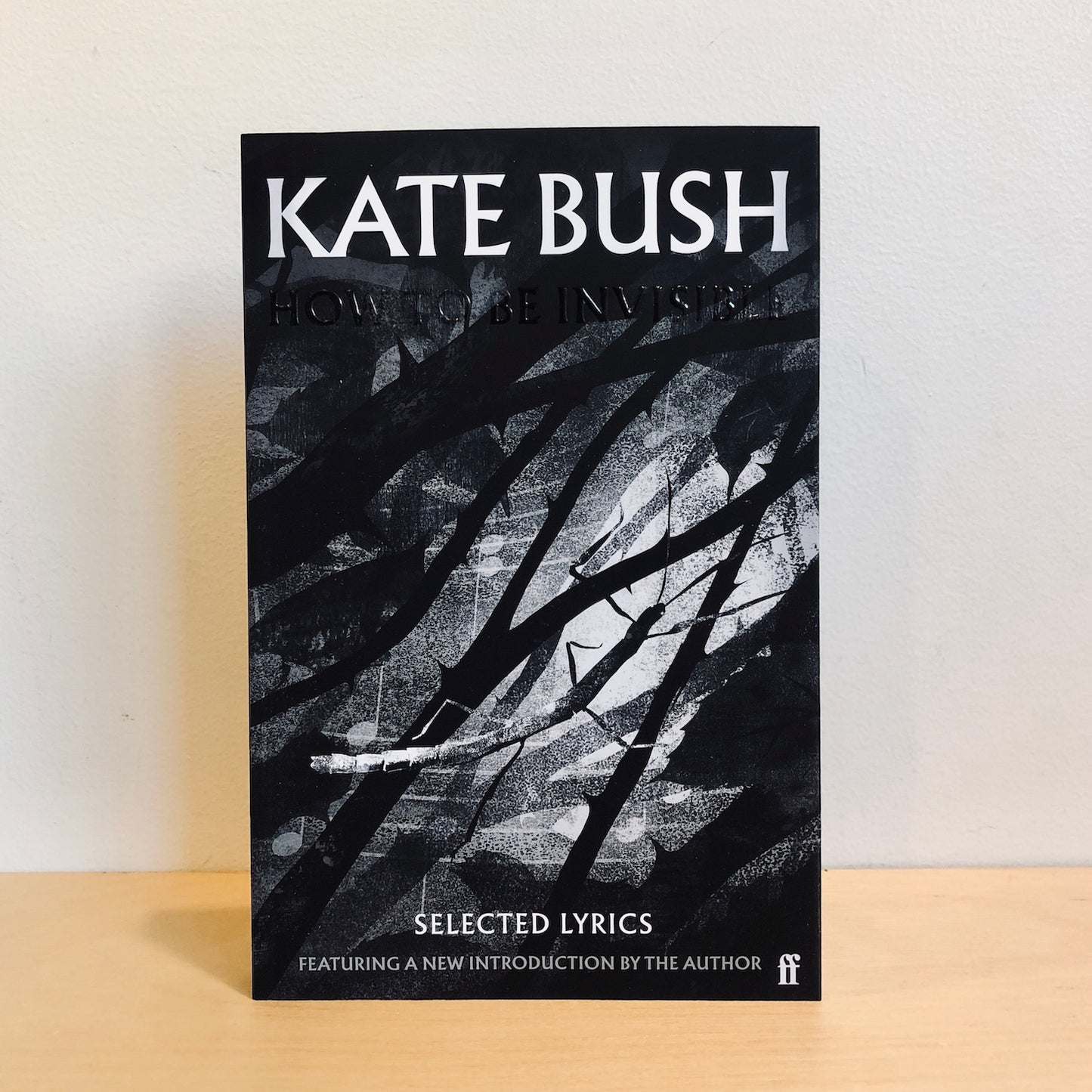 Load image into Gallery viewer, Kate Bush - How To Be Invisible [Paperback Edition]

