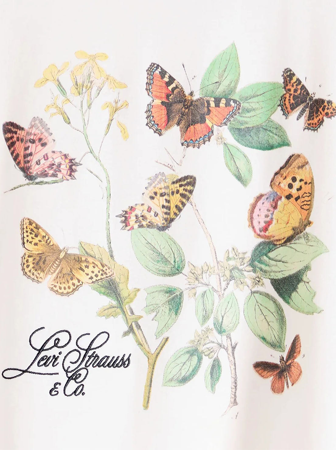 Levi's - Graphic Tabor Tee - Butterfly Garden/Egret