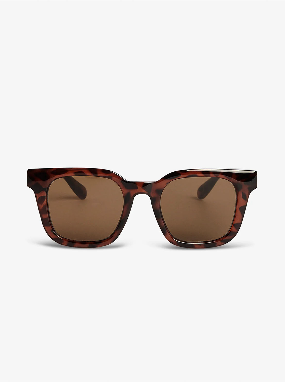 Local Supply - BKK - Tort Frame / Brown Lens