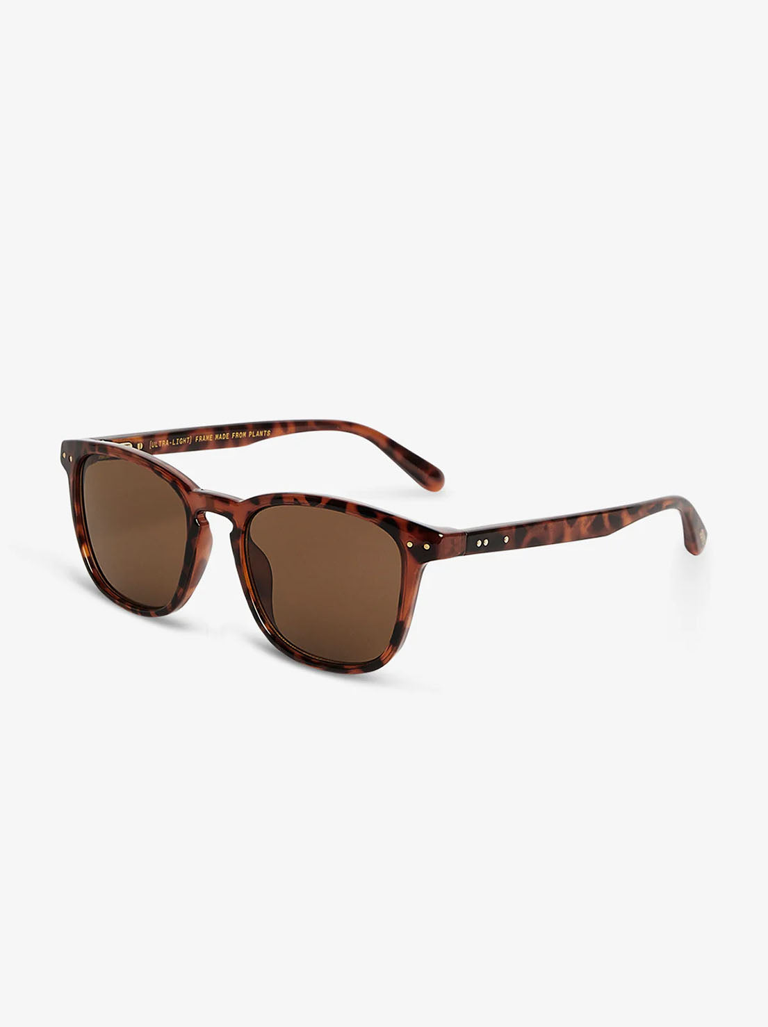 Local Supply - SYD - Tort Frame w/ Brown Lens
