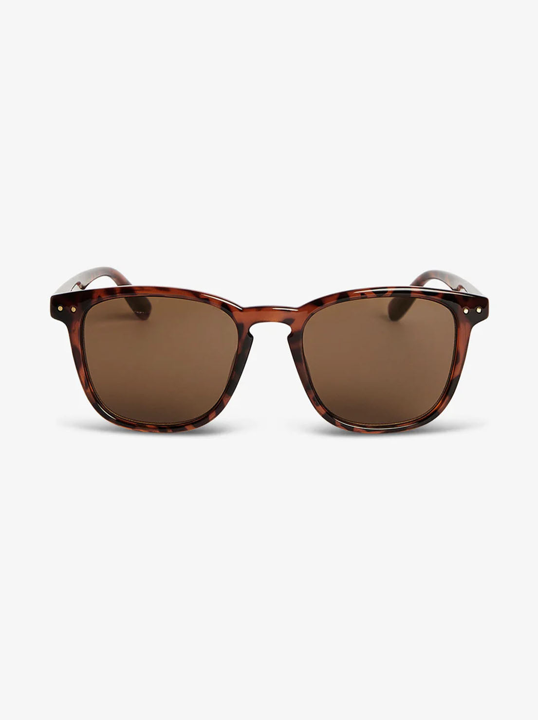 Local Supply - SYD - Tort Frame w/ Brown Lens