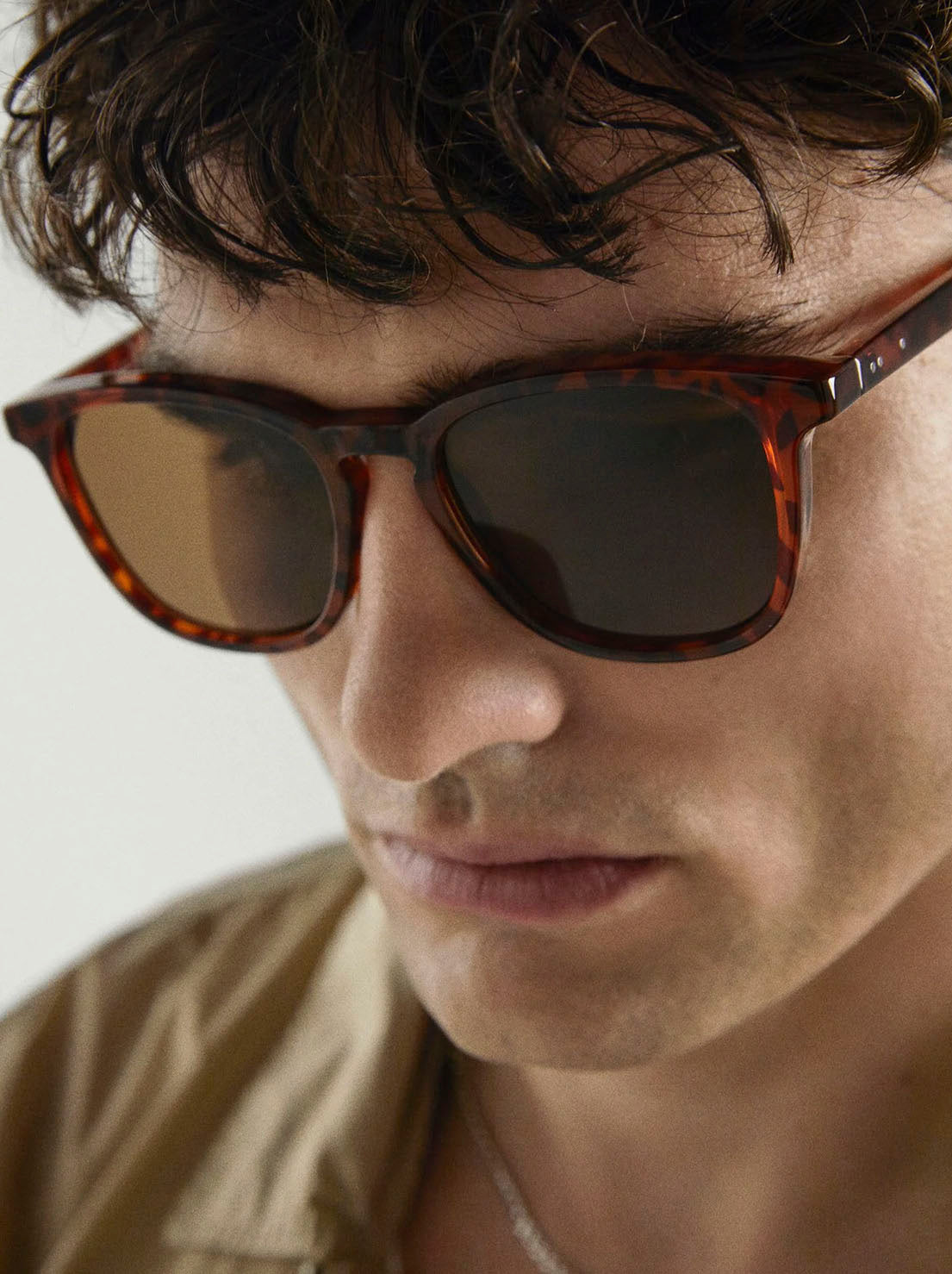 Local Supply - SYD2 - Tort Frame / Brown Lens