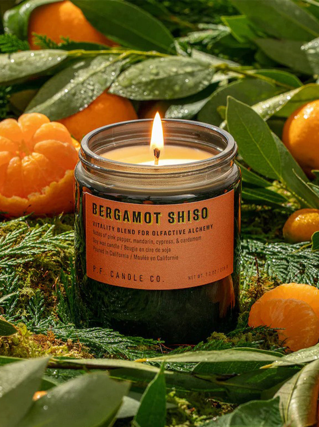 PF Candle Co - 204g Alchemy Soy Candle - Bergamot Shiso