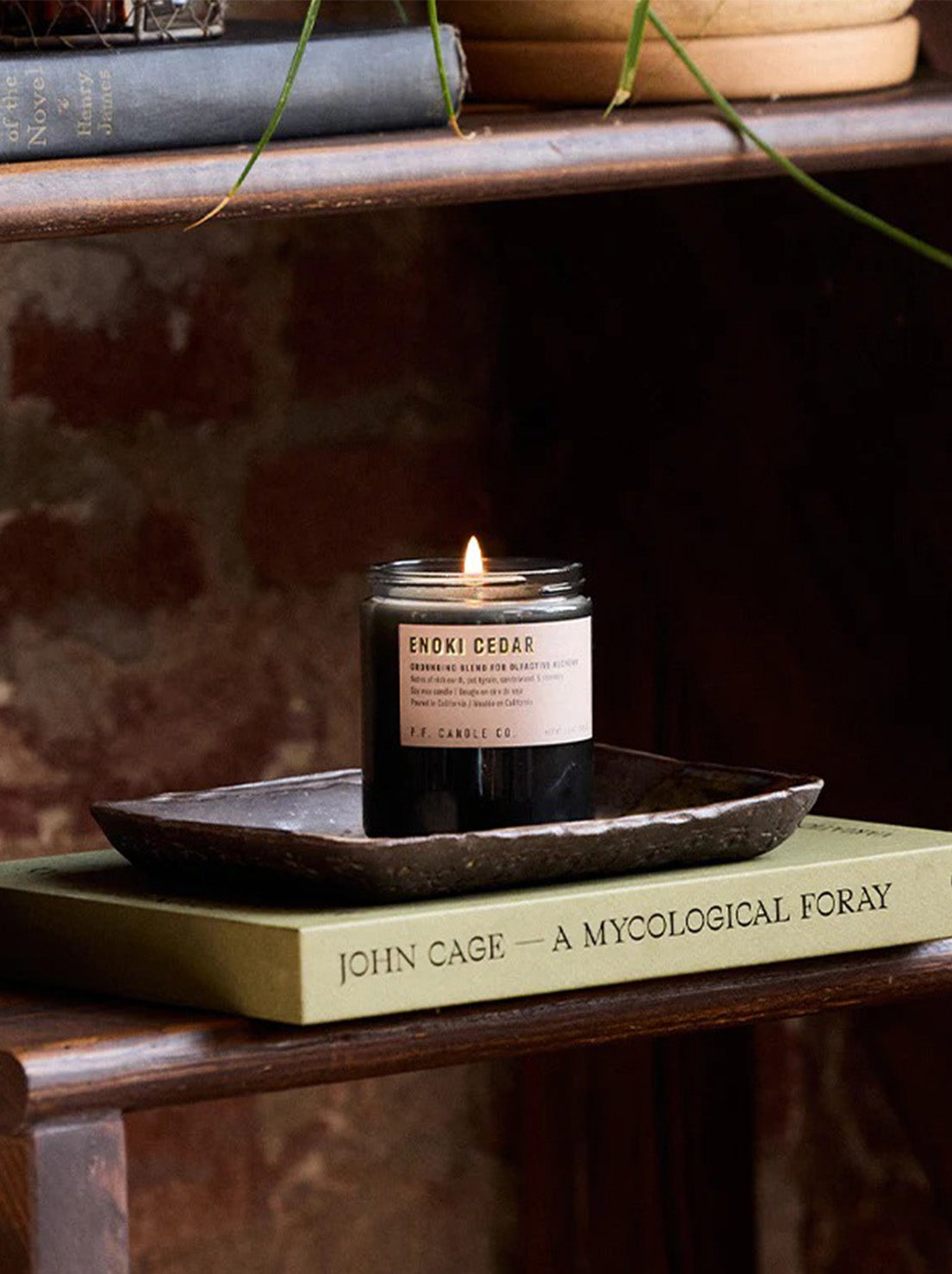 PF Candle Co - 204g Alchemy Soy Candle - Enoki Cedar