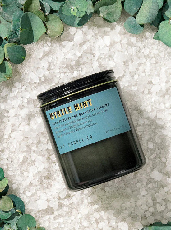 PF Candle Co - 204g Alchemy Soy Candle - Myrtle Mint