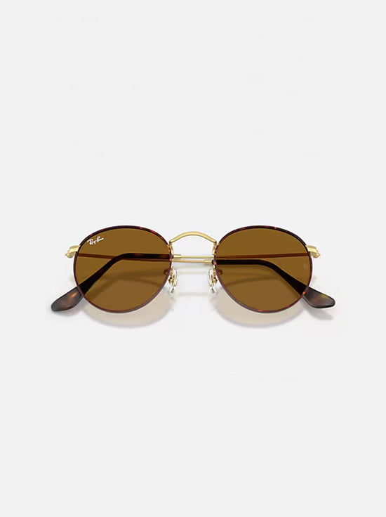 Ray-Ban - Round Metal RB3447 - Matte Havana on Matte Arista /  Brown Lens - 50