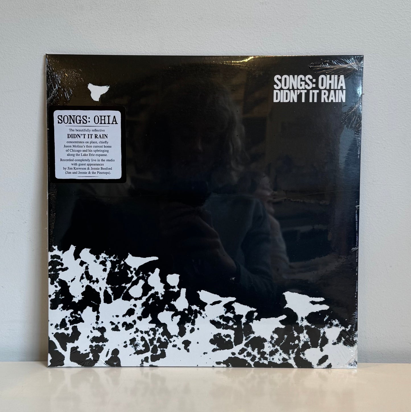 Songs: Ohia - Didn't It Rain. LP