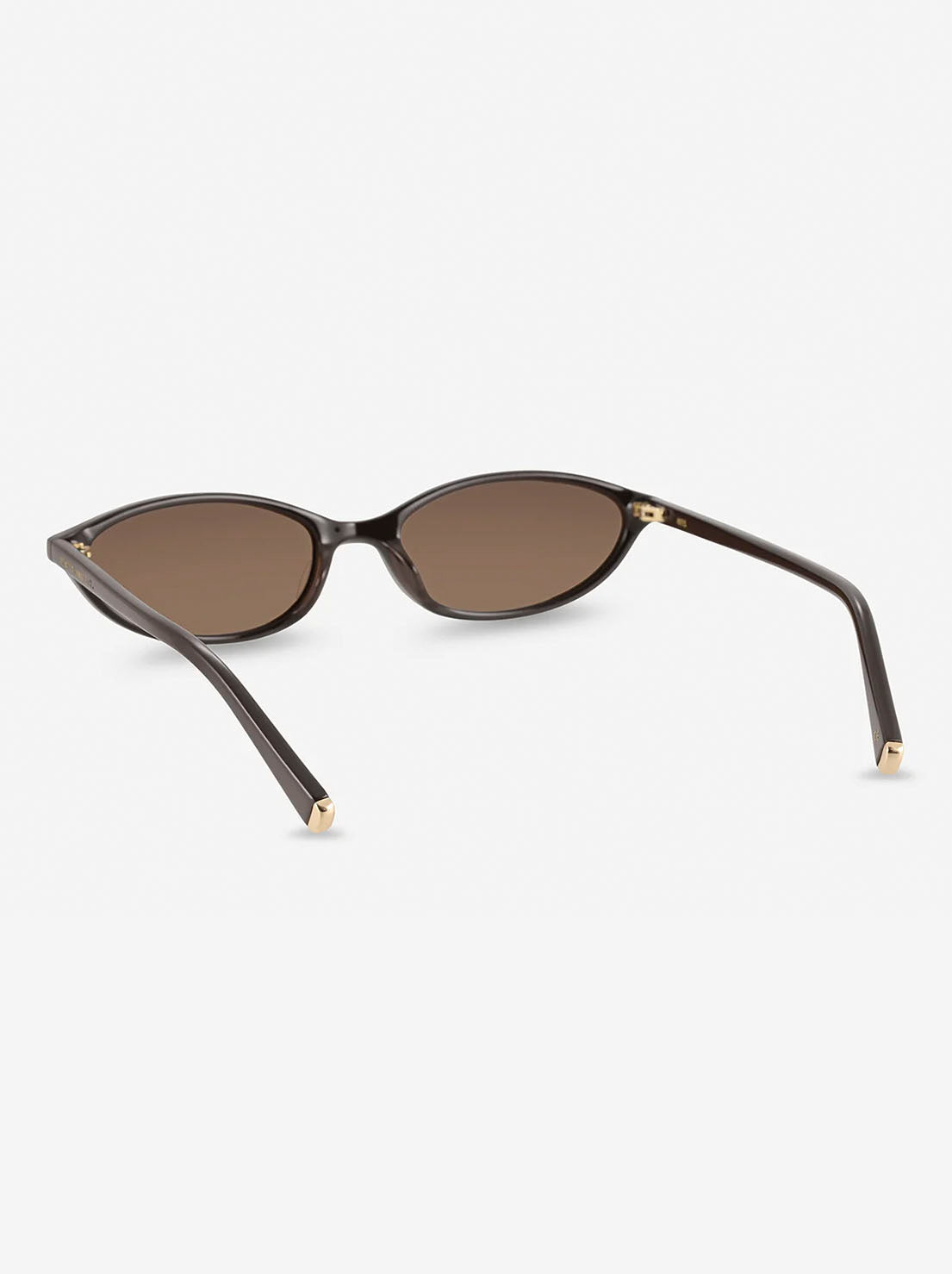 Status Anxiety - Apex Sunglasses - Espresso/Gold