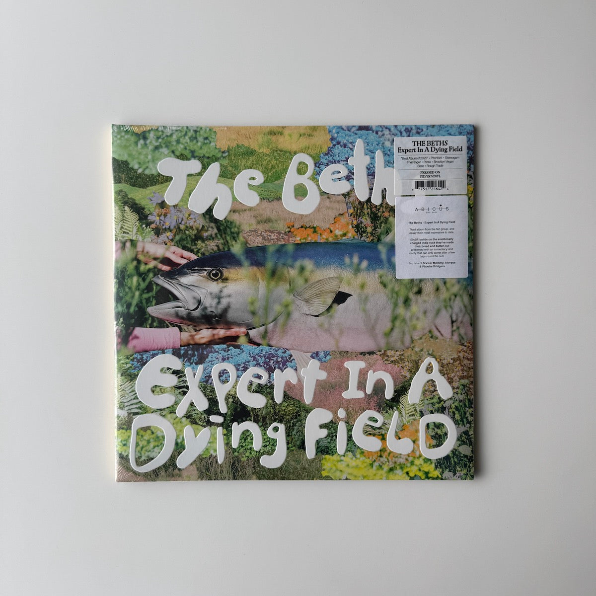 The Beths - Expert In A Dying Field. LP [Silver Vinyl]