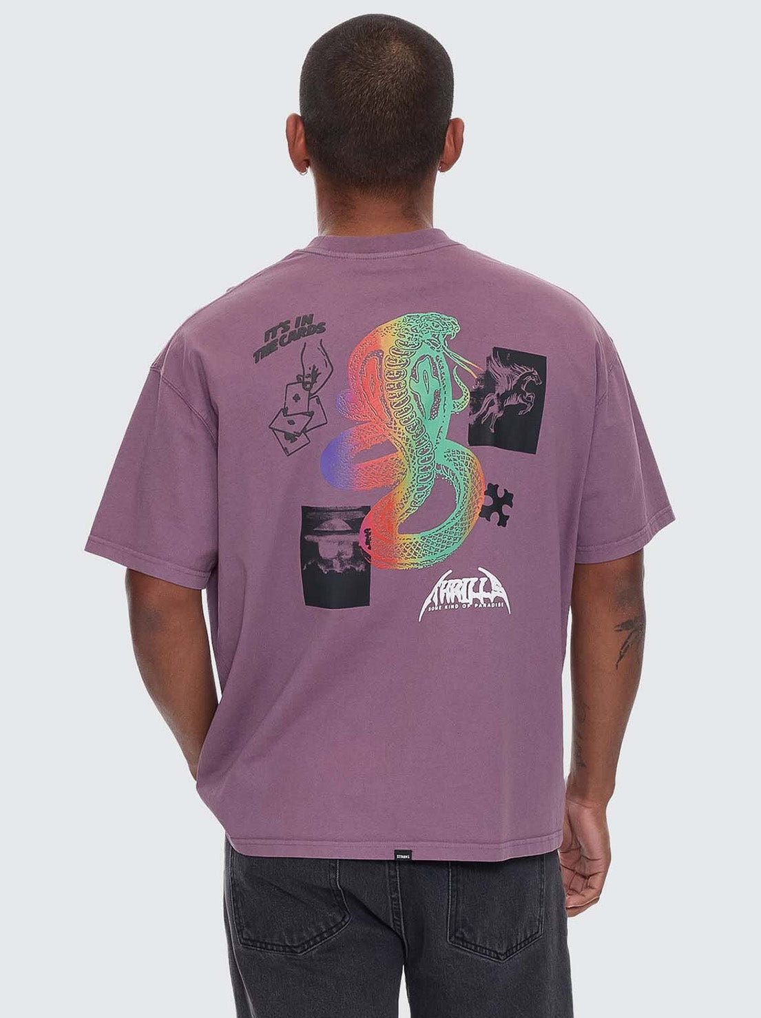 Thrills - It's In The Cards Box Fit Oversize Tee - Vintage Mauve