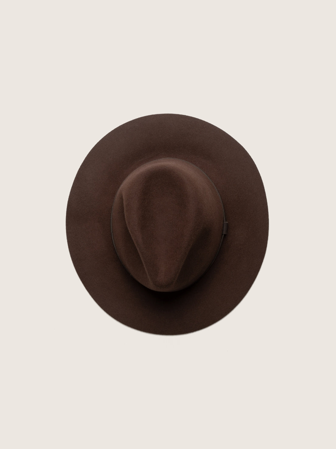 Will and Bear - Anderson - Brown