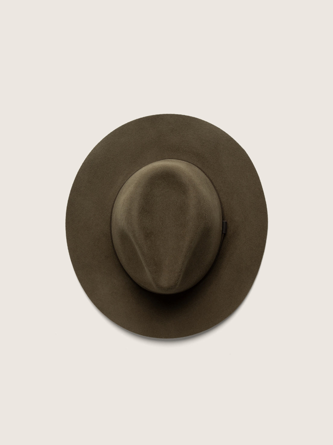 Will and Bear - Anderson - Olive