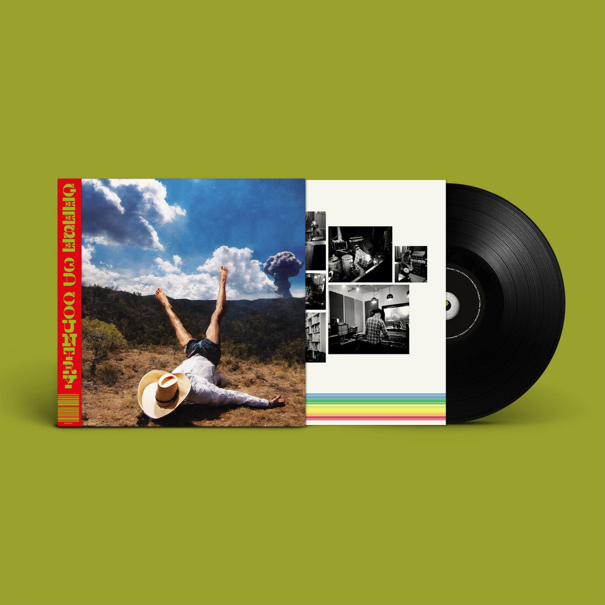 Geese - 3D Country. LP