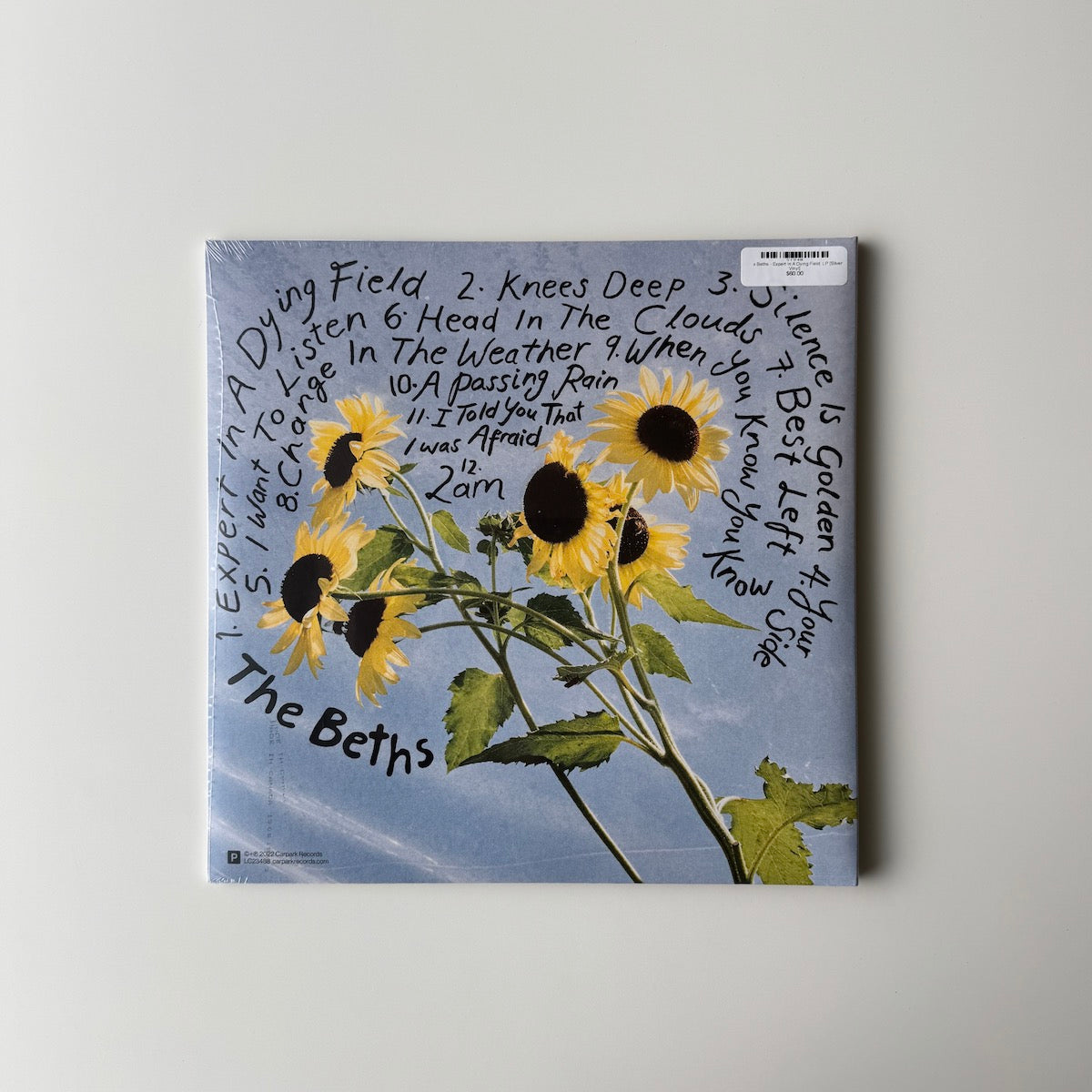 The Beths - Expert In A Dying Field. LP [Silver Vinyl]