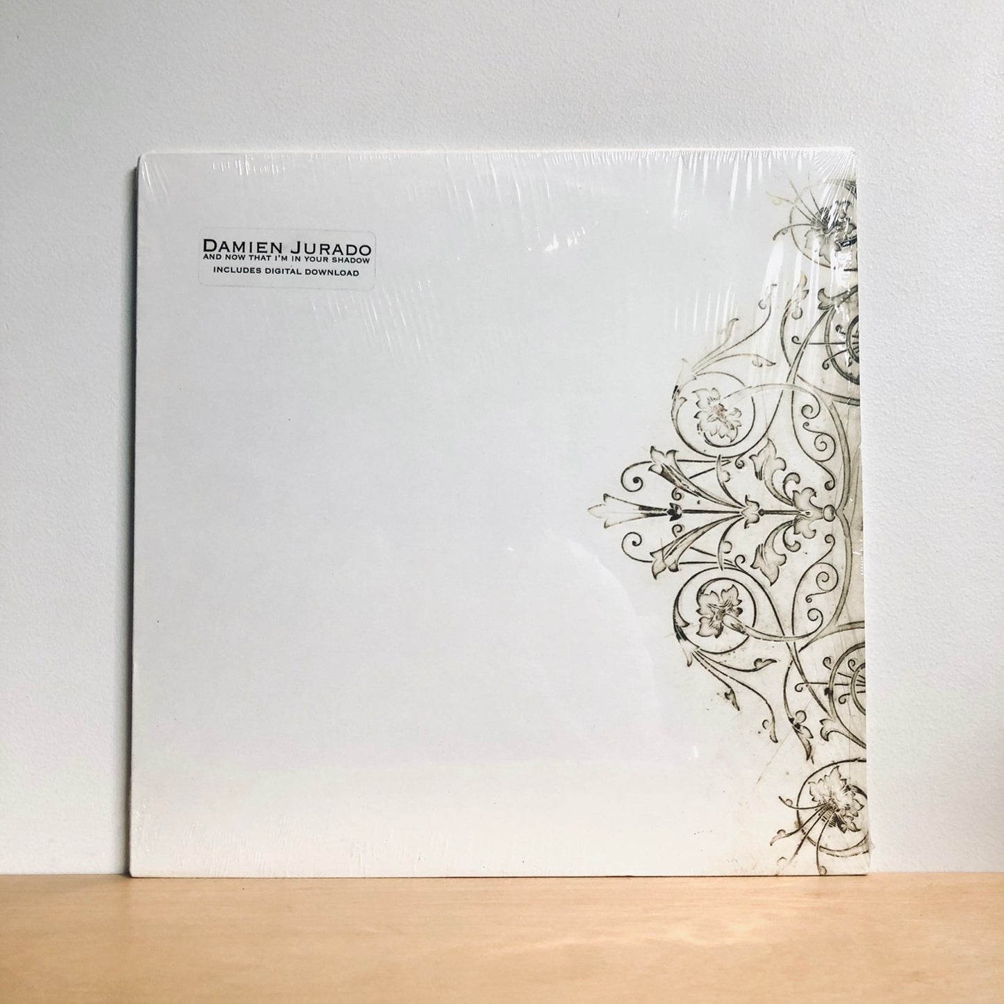 Damien Jurado - Now That I'm In Your Shadow. LP