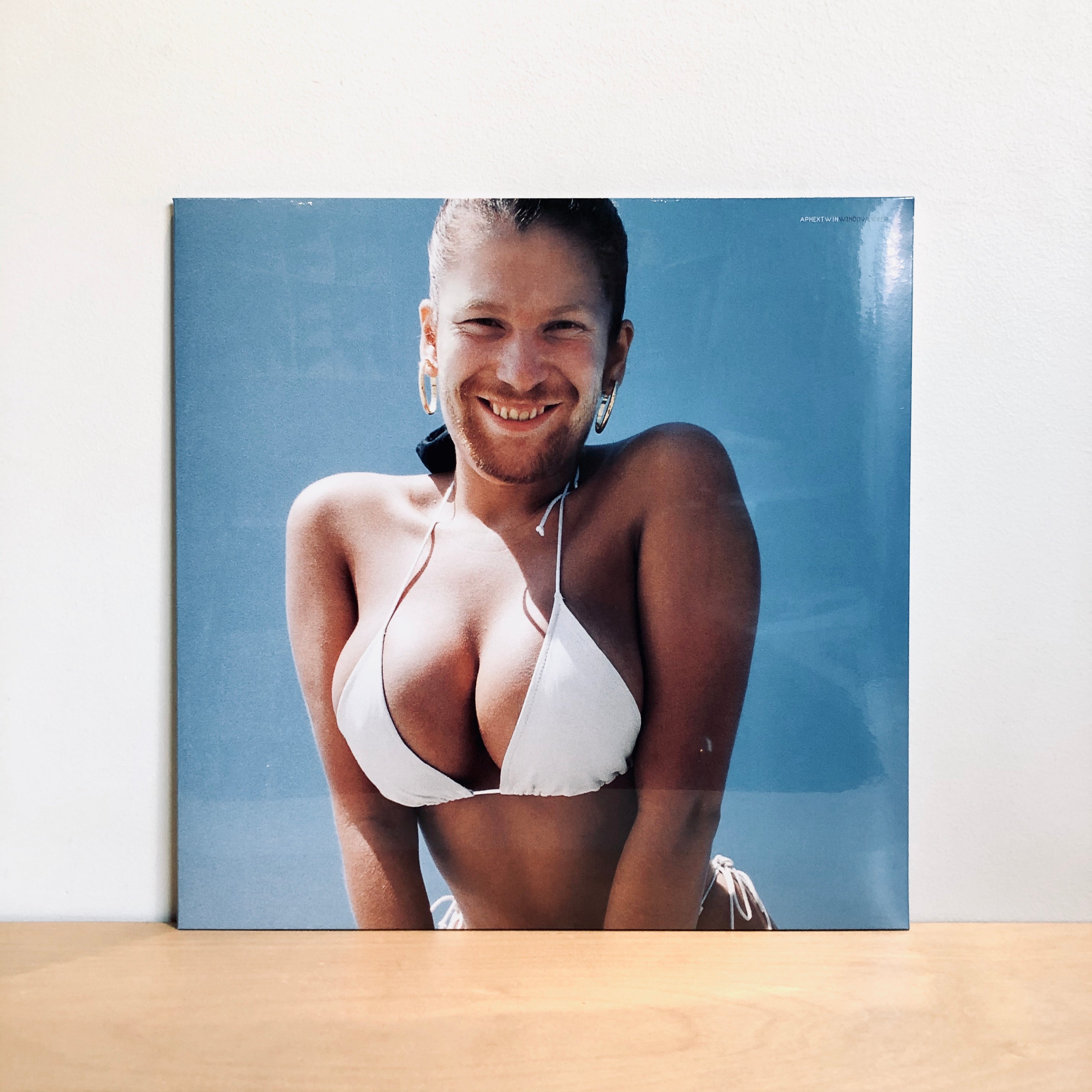 Aphex Twin - Windowlicker . LP 12