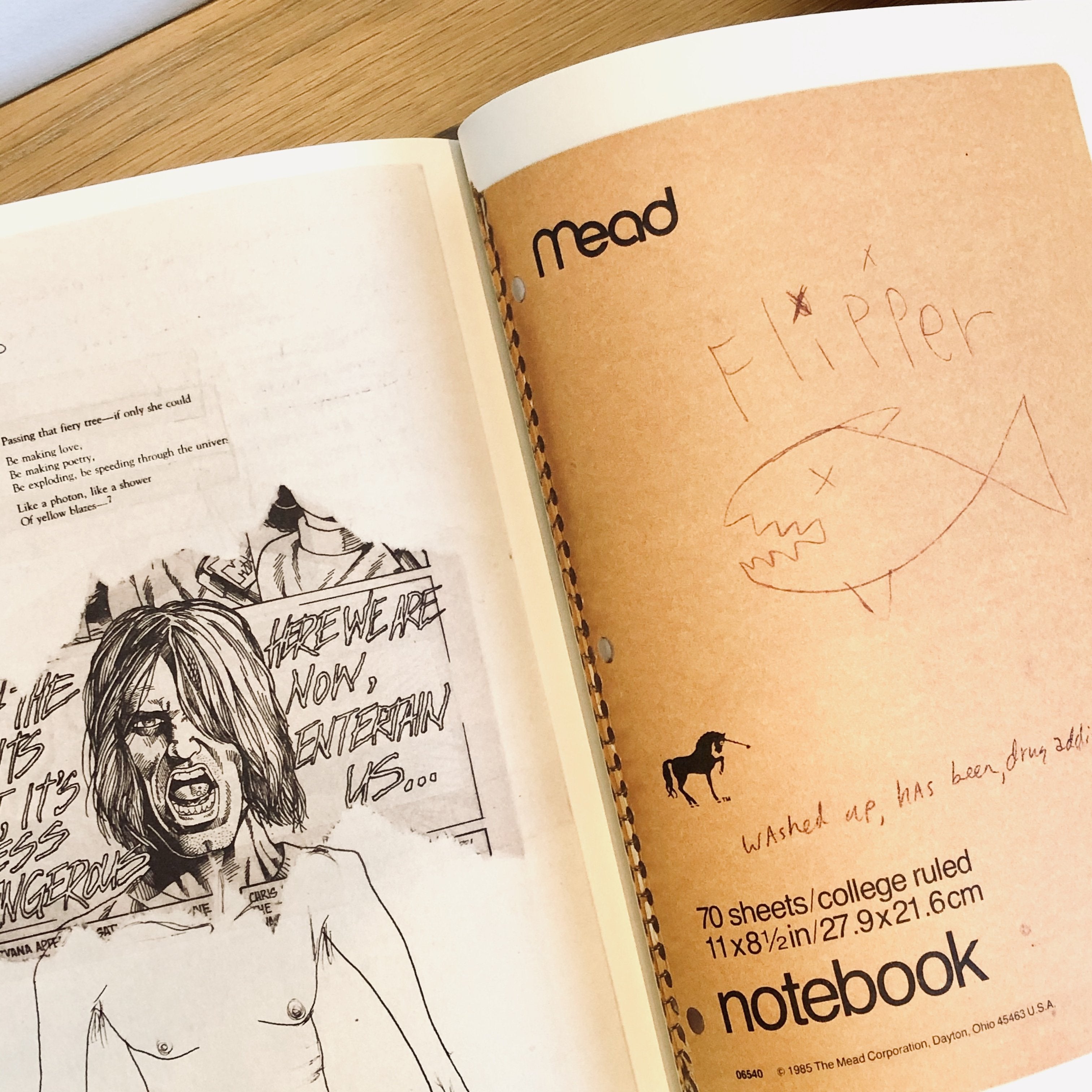 Kurt Cobain: Journals – Abicus