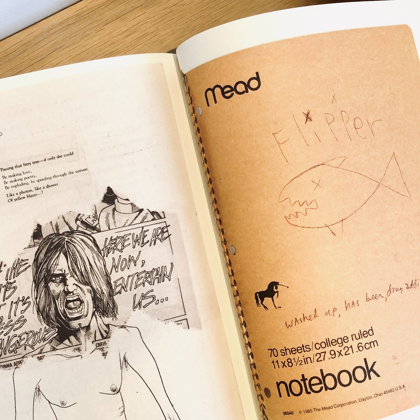 Load image into Gallery viewer, Kurt Cobain: Journals
