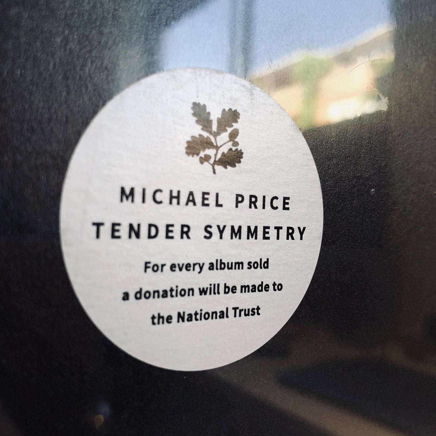 Michael Price - Tender Symetry. LP [Indies Clear Edition 500]