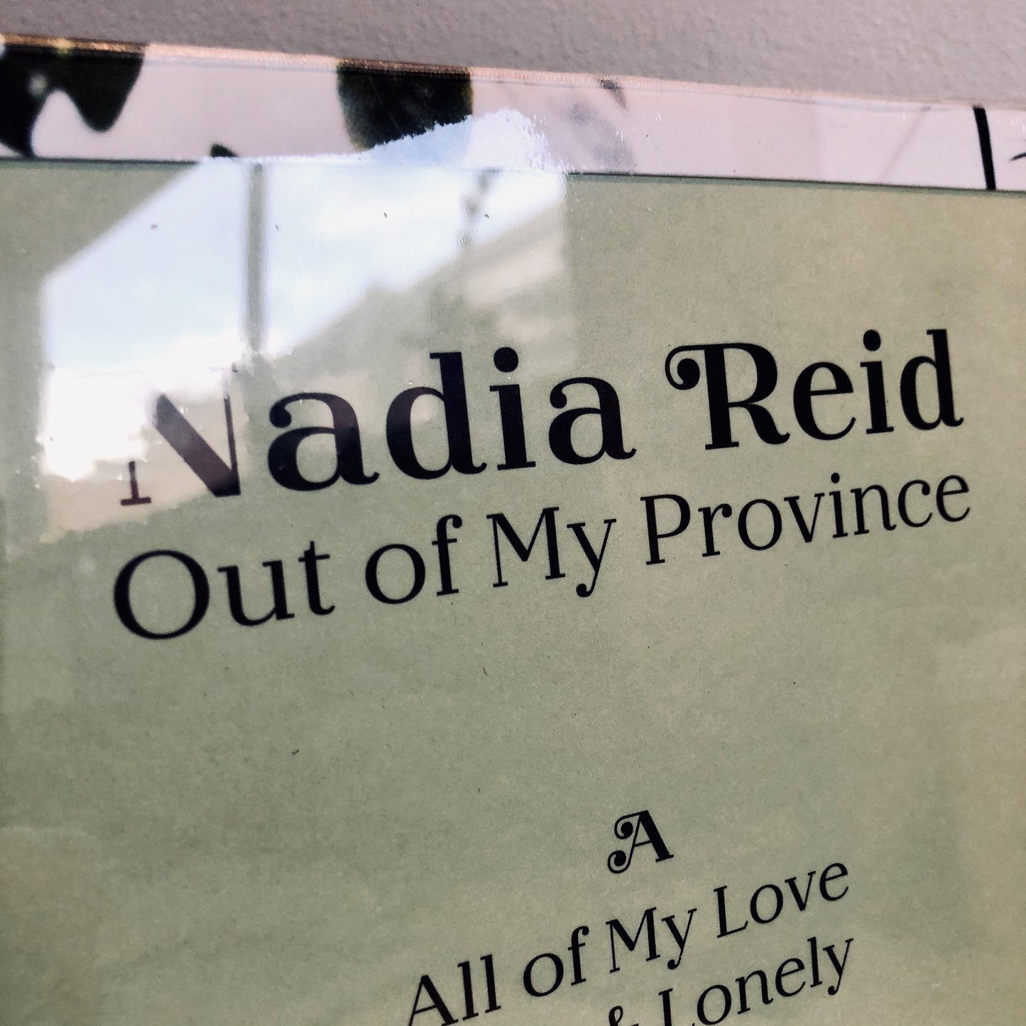 Nadia Reid - Out Of My Province. LP