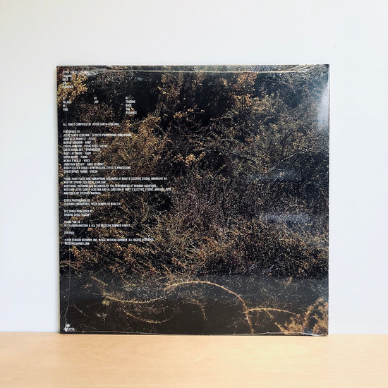 Jefre Cantu-Ledesma - Tracing Back The Radiance. LP