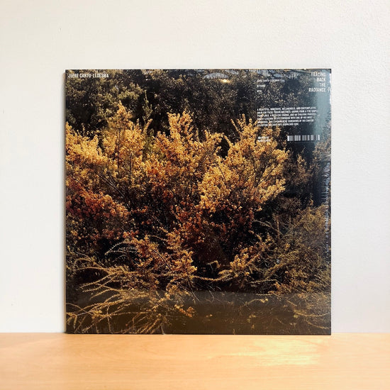 Jefre Cantu-Ledesma - Tracing Back The Radiance. LP