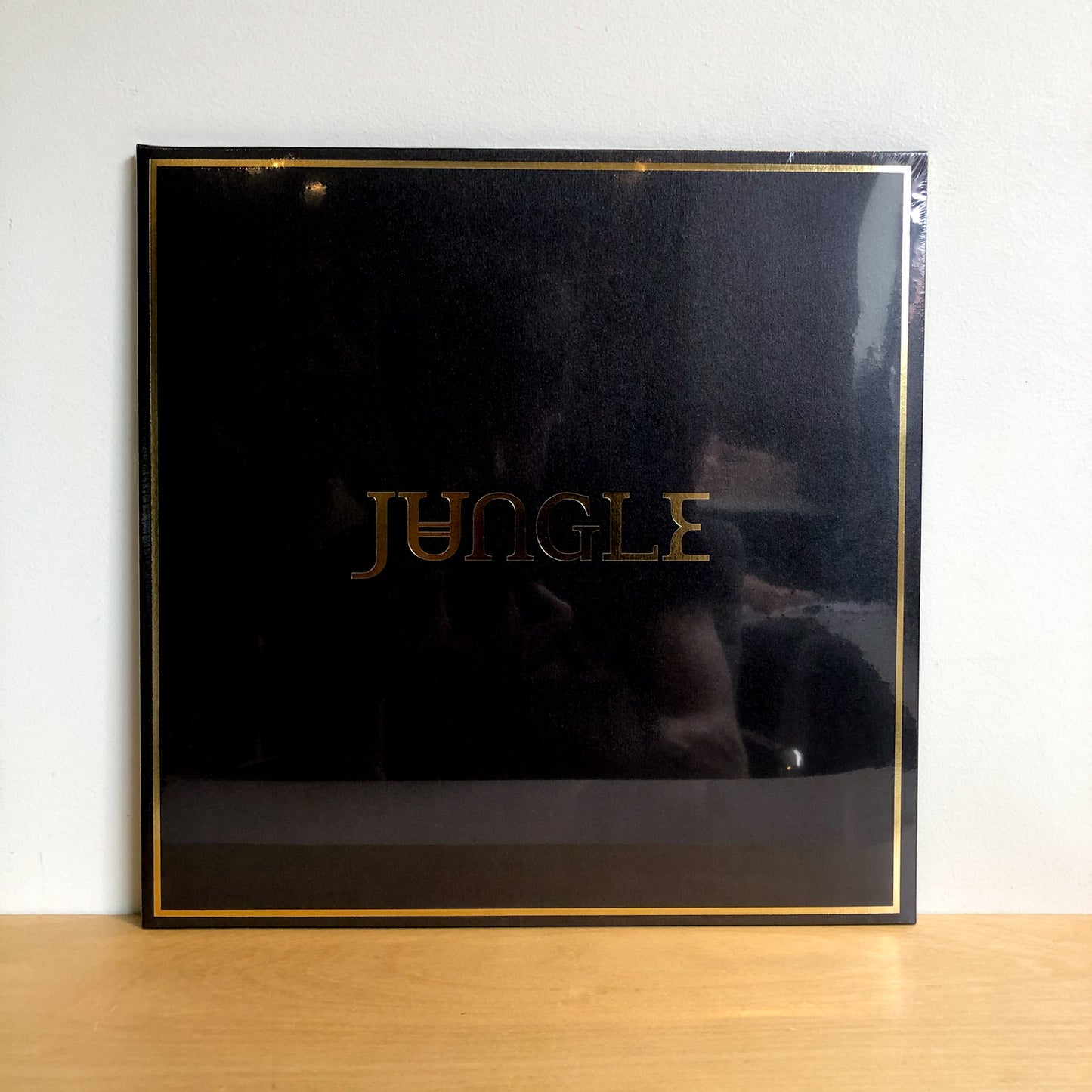 Jungle - Jungle. LP