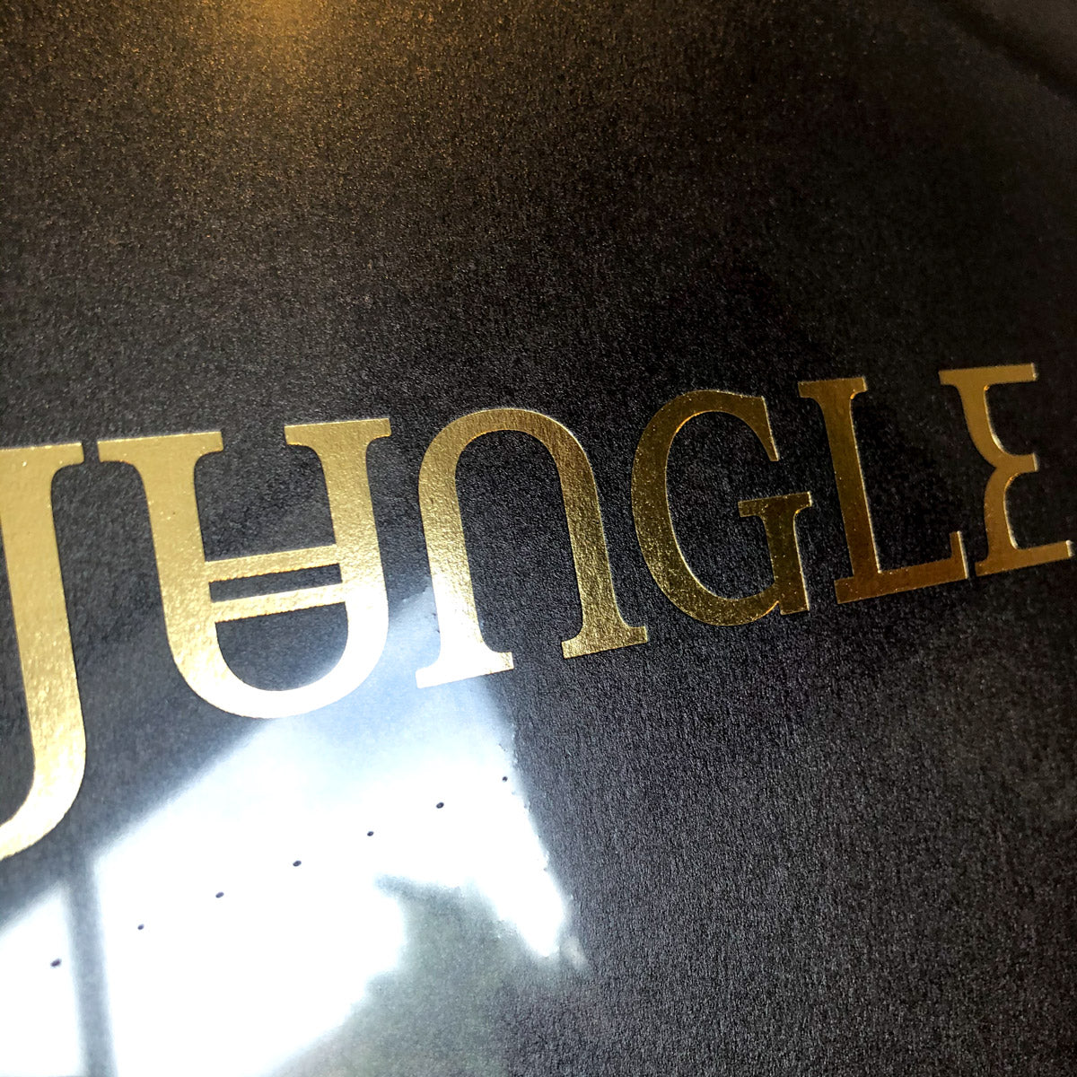 Jungle - Jungle. LP