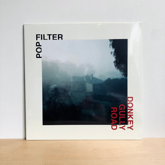 Pop Filter - Donkey Gully Road. LP