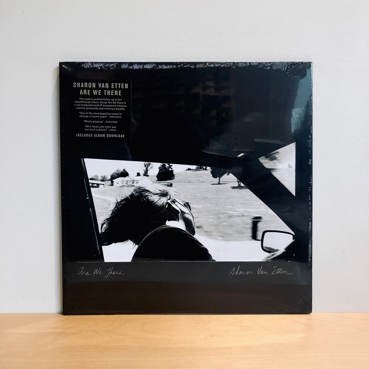 Sharon Van Etten - Are We There. LP