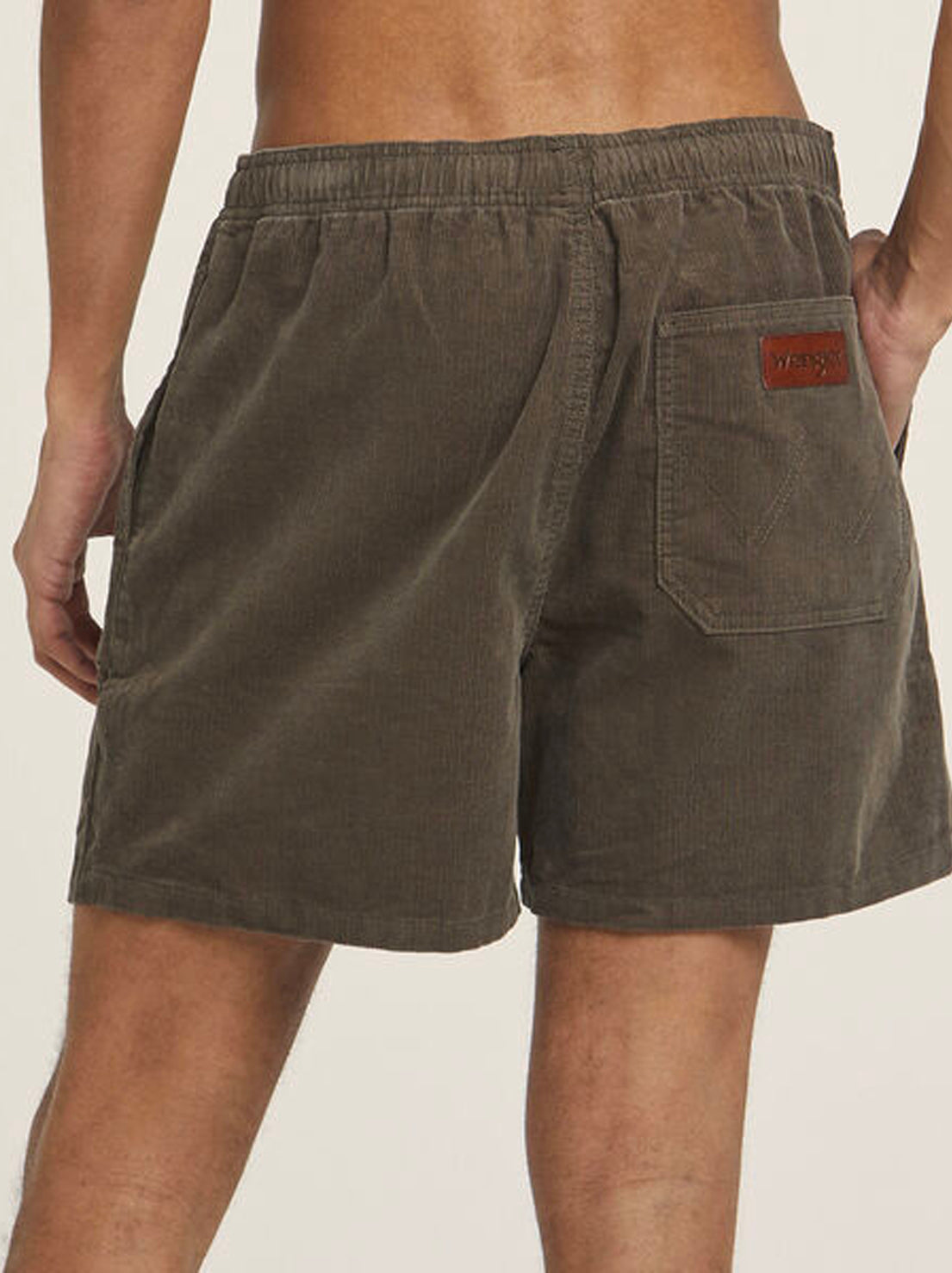 Wrangler - Roomie Short - Pacific Oyster